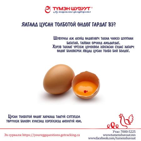 Яагаад цусан толботой өндөг гардаг вэ?